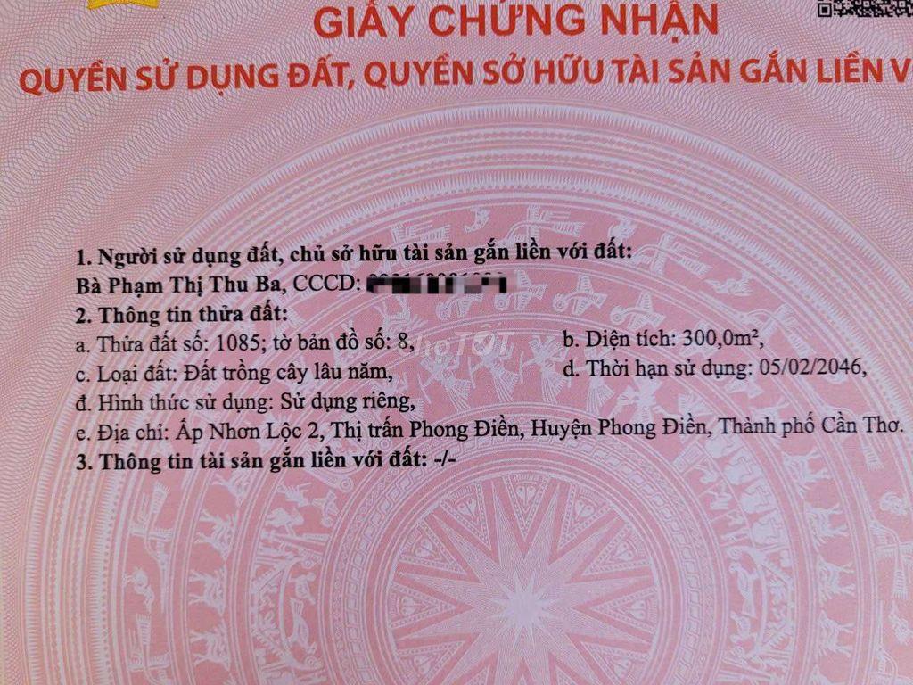 300 m2 đất đường 923