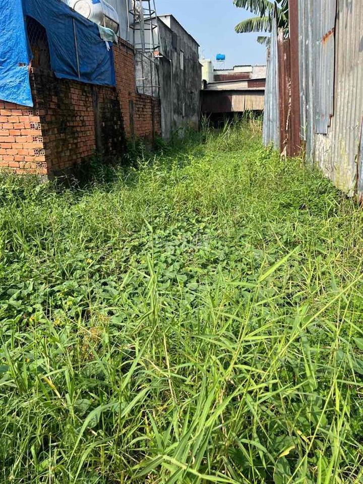 đất TP HCM bao quy hoạch, bao tranh chấp, bao xây dựng được ngay