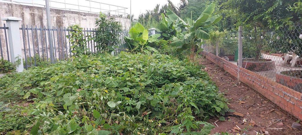 ĐẤT NỀN THỔ CƯ 90 M2 ĐƯỜNG 12 M SỔ HỒNG CÓ DƯ PHÍA SAU 55 M2 TRỒNG CÂY