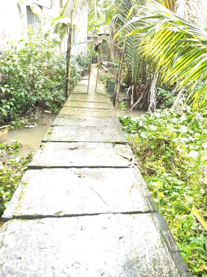 ben e cần bán 1 miếng đất 