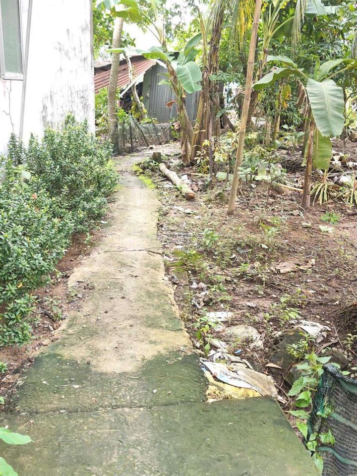 ben e cần bán 1 miếng đất 