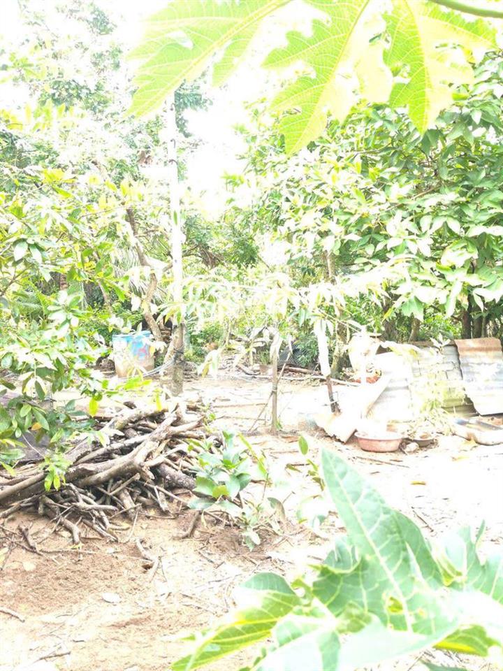 ben e cần bán 1 miếng đất 