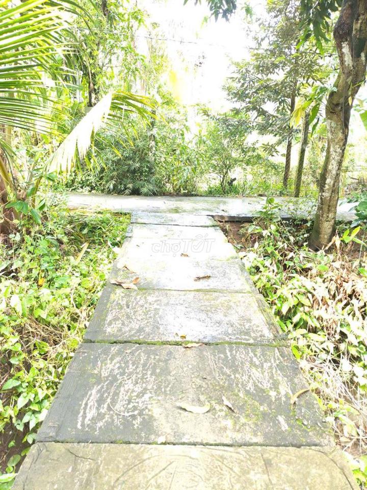 ben e cần bán 1 miếng đất 