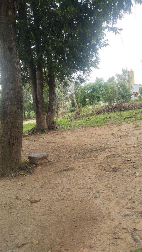 phòng trọ mặt tiền hẻm