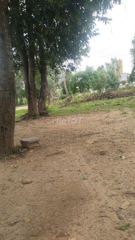 phòng trọ mặt tiền hẻm