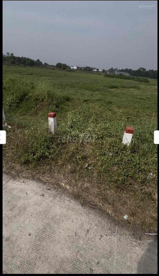 đất ngột củ chi - trung an cũ tphcm giá rẻ