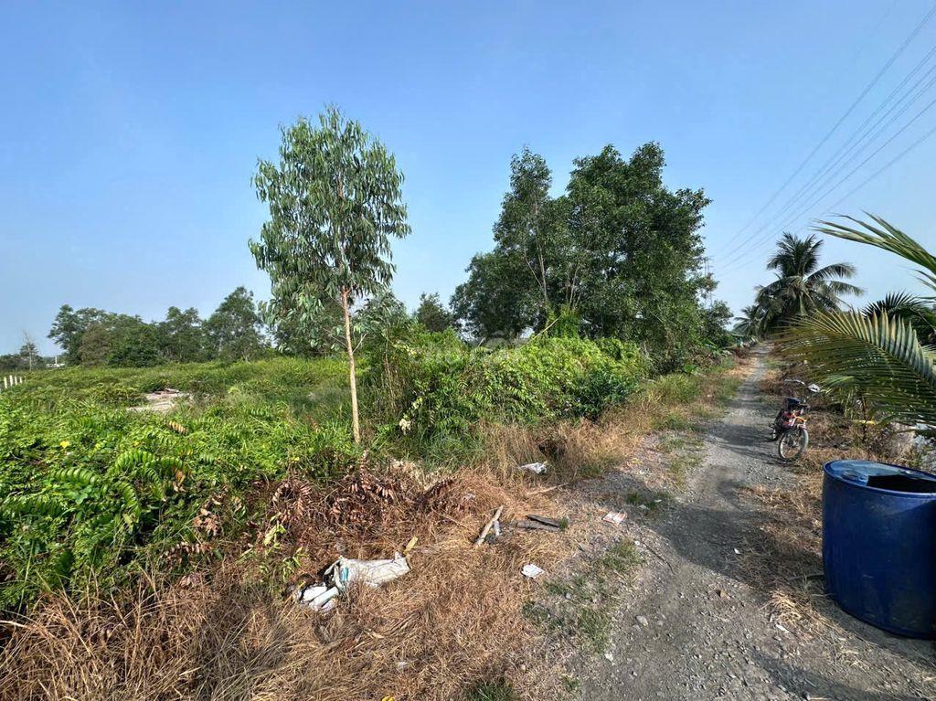 Bán đất ấp 6 xã Bình Đức Bến Lức