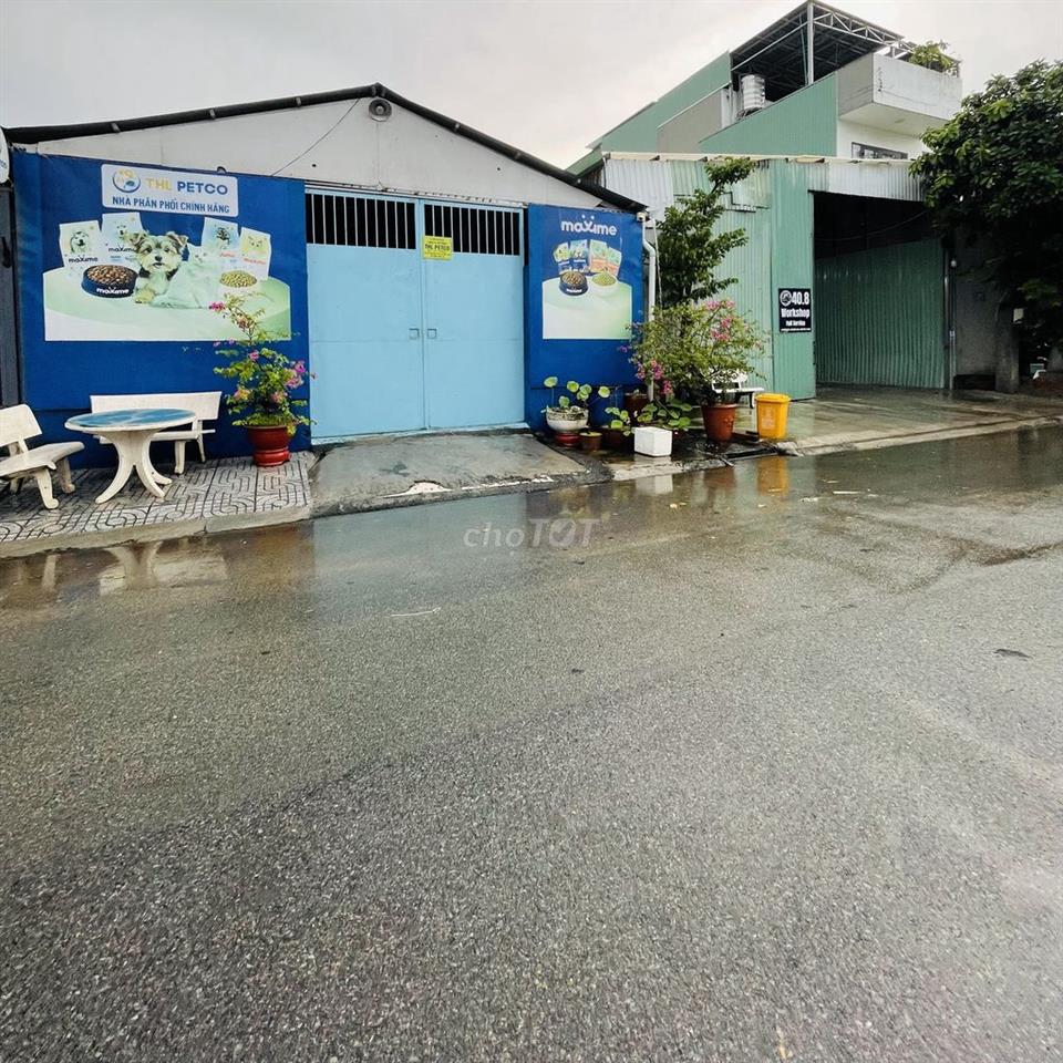CHO THUÊ XƯỞNG GIÁ RẺ