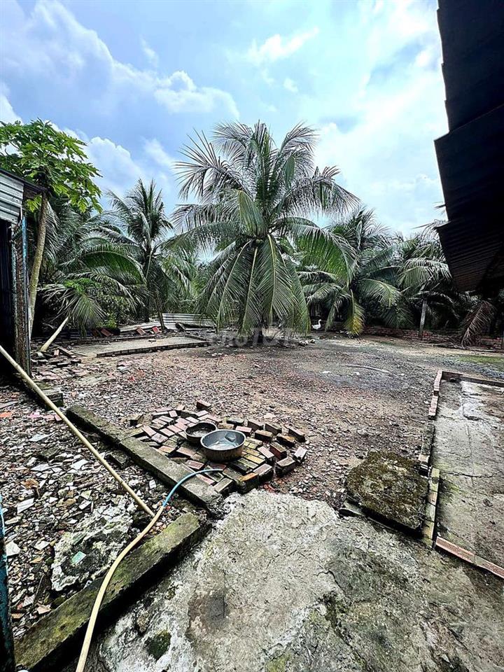 Chính chủ bán 2.200m² nhà vườn Bến Tre, 300m² thổ cư, ô tô tới đất