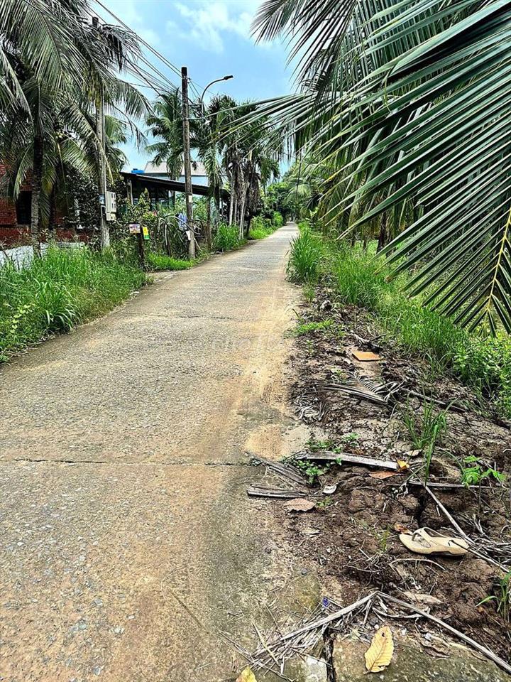 Chính chủ bán 2.200m² nhà vườn Bến Tre, 300m² thổ cư, ô tô tới đất