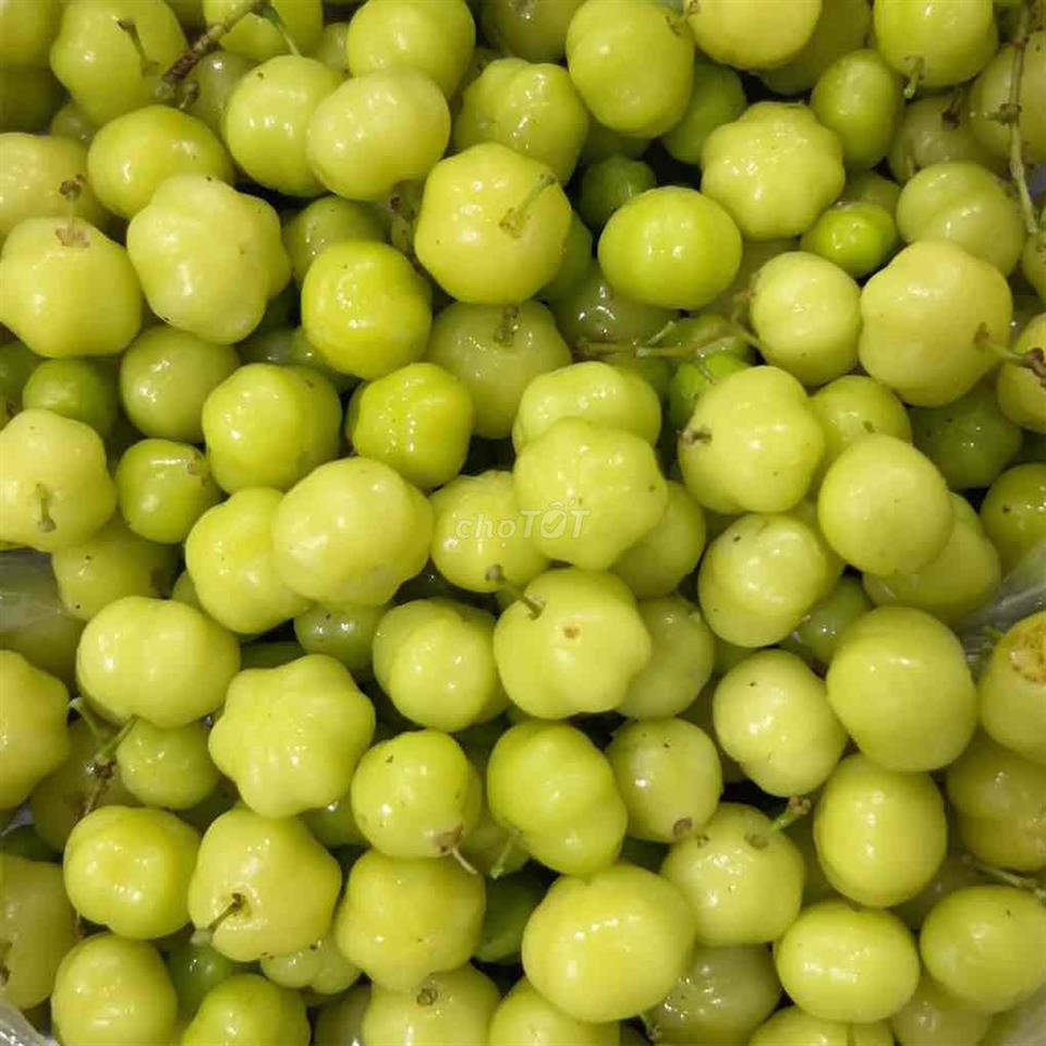Tìm nữ ở ghép