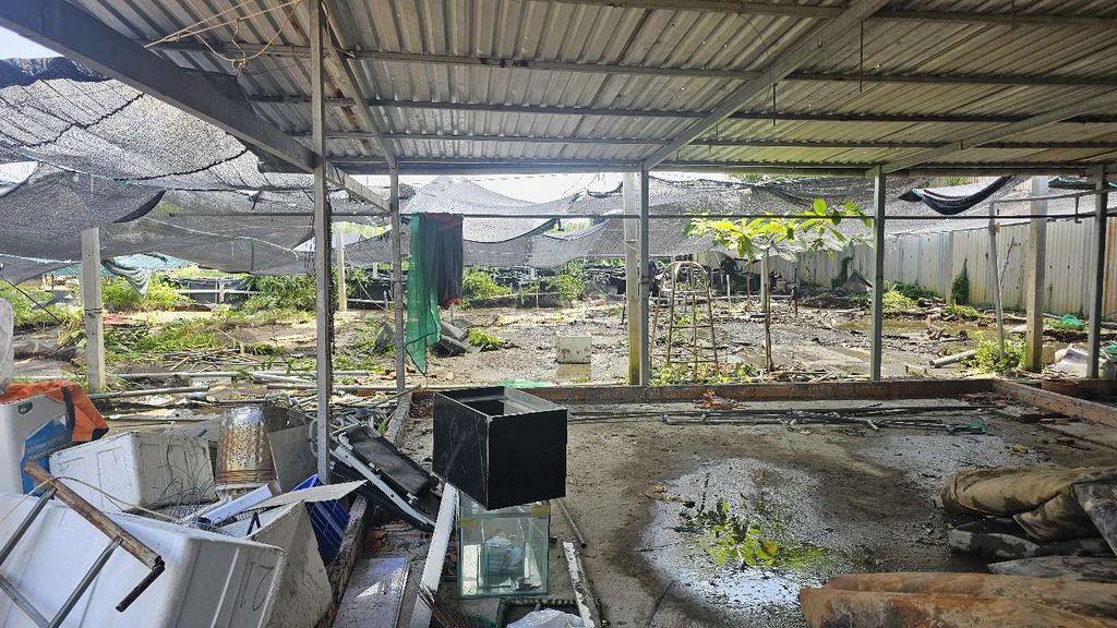 Cho Cho thuê đất như hình, xã Tân Phú Trung, củ chi 