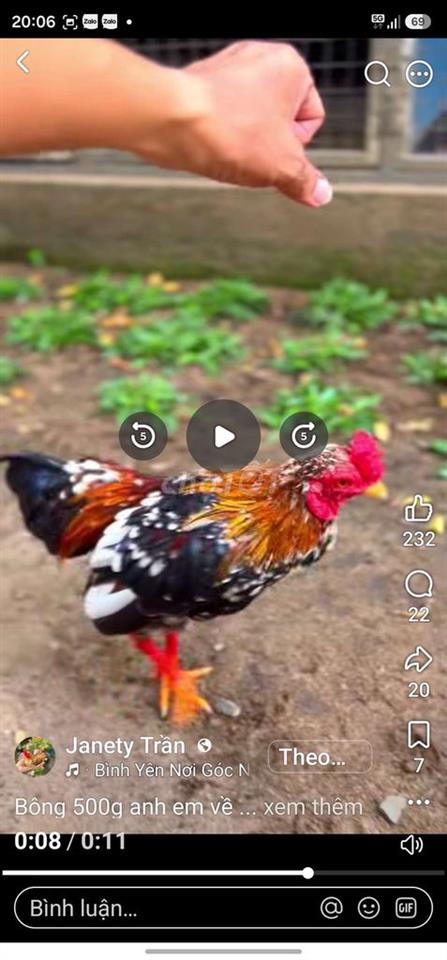 Cho Cho thuê đất như hình, xã Tân Phú Trung, củ chi 