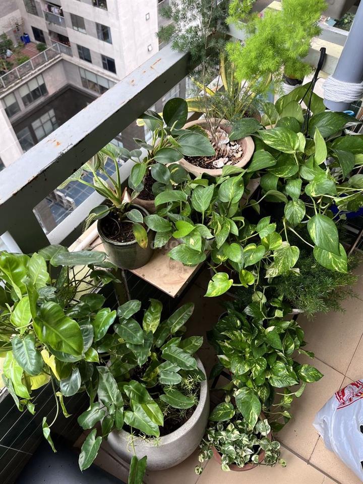 Chủ nhà cần bán Bán căn hộ tòa  JSC 34, 2PN, DT 82m2 giá 6 tỷ