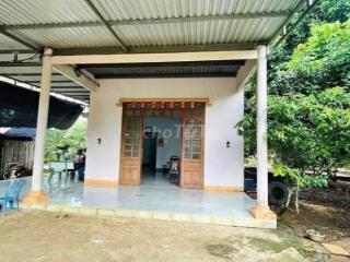 Đất vườn trái cây nhà cấp 4 ở Bình Dương, 2541m2, thổ cư, giá 680tr