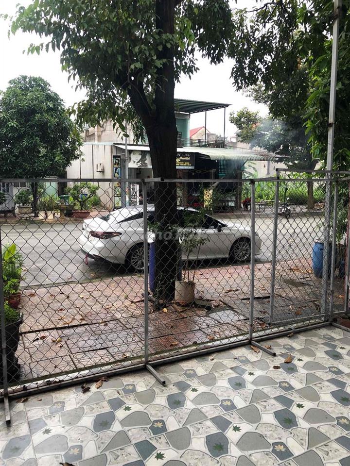 Cho thuê mặt bằng 10*23,5