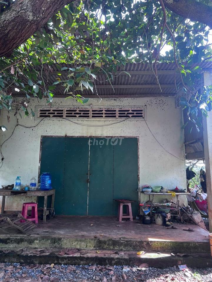 BÁN ĐẤT VƯỜN TRỒNG SẦU RIÊNG, MÍT