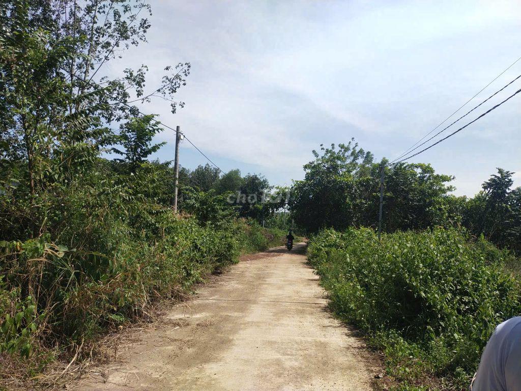 Chính chủ kẹt tiền đất Tân Khai 386m2 600 triệu