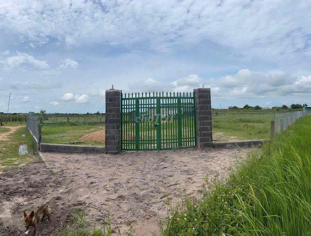 bán lô đất hàm liẻm