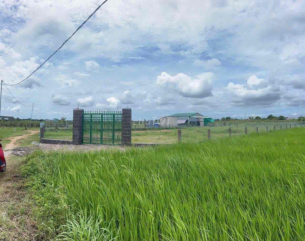 bán lô đất hàm liẻm