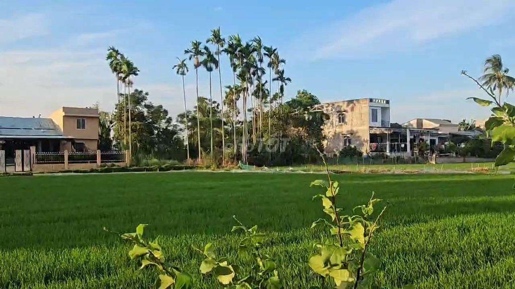 ĐẤT THỔ CƯ DIỆN TÍCH LỚN CÁCH TRUNG TÂM ĐÀ NẴNG 15KM