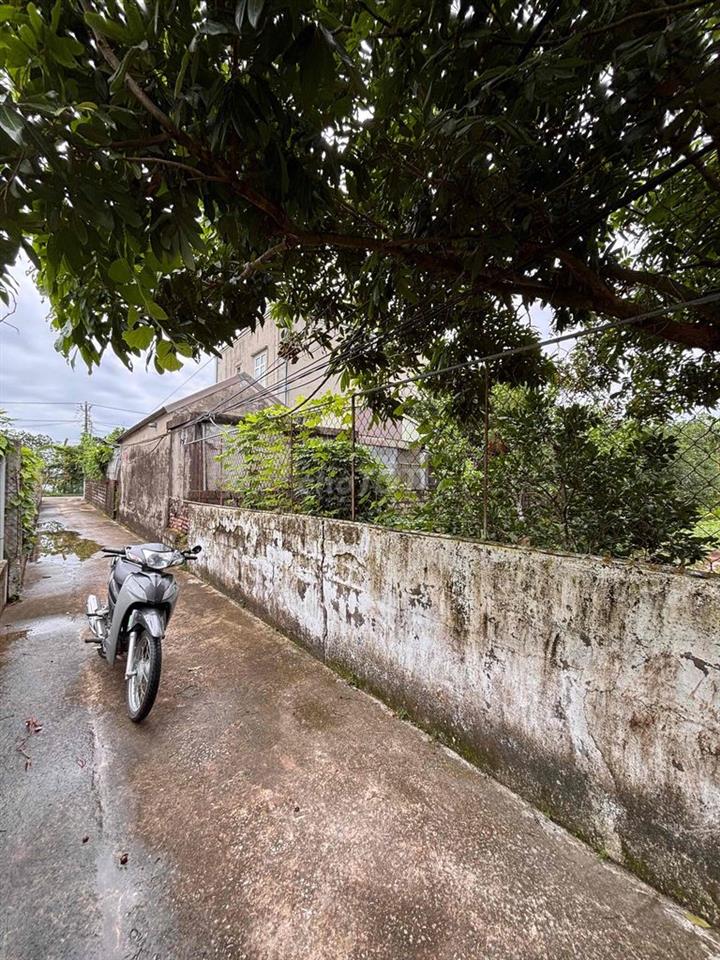bán đất thổ cư
