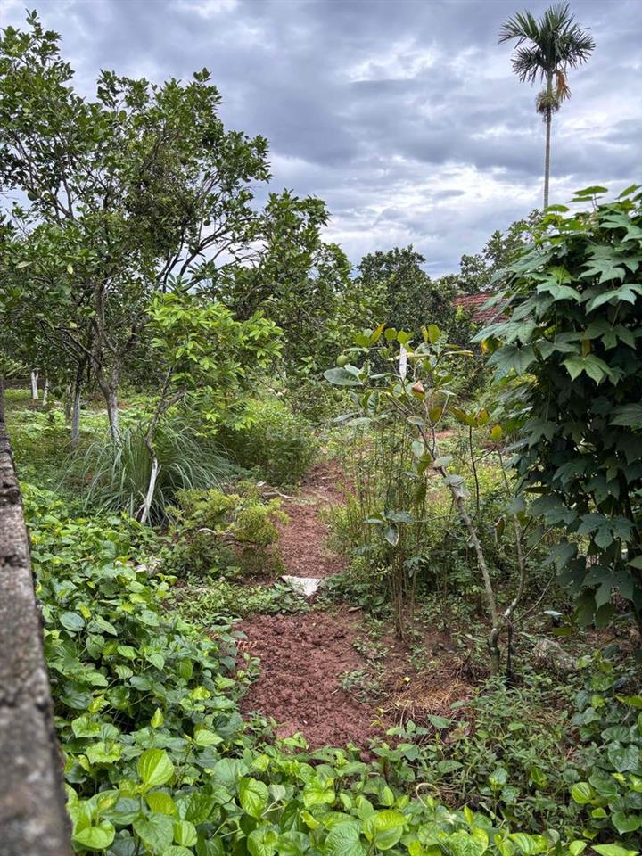 bán đất thổ cư