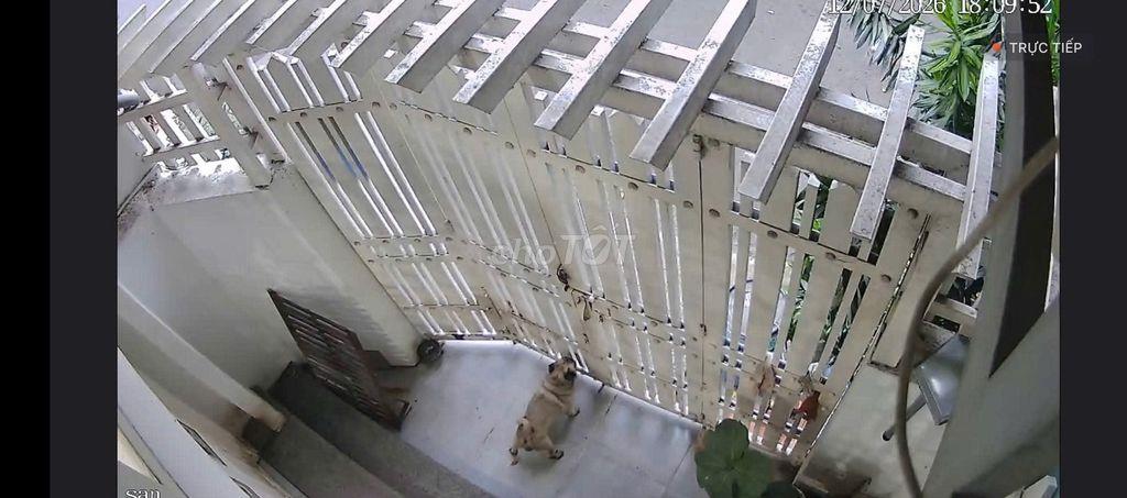 Nhà gần chợ Đầu mối Nông sản Thủ Đức,hẻm 4m ô tô thông ra chợ Tam Bình