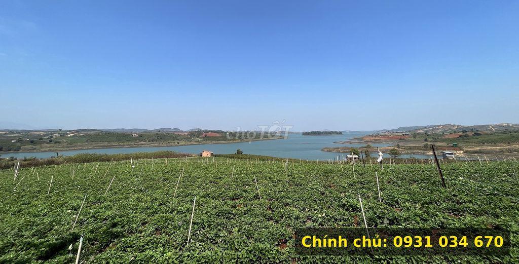 Chính chủ bán 1 sào đất view hồ Đại Ninh, cách hồ 40m, sổ riêng