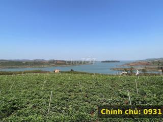 Chính chủ bán 1 sào đất view hồ Đại Ninh, cách hồ 40m, sổ riêng