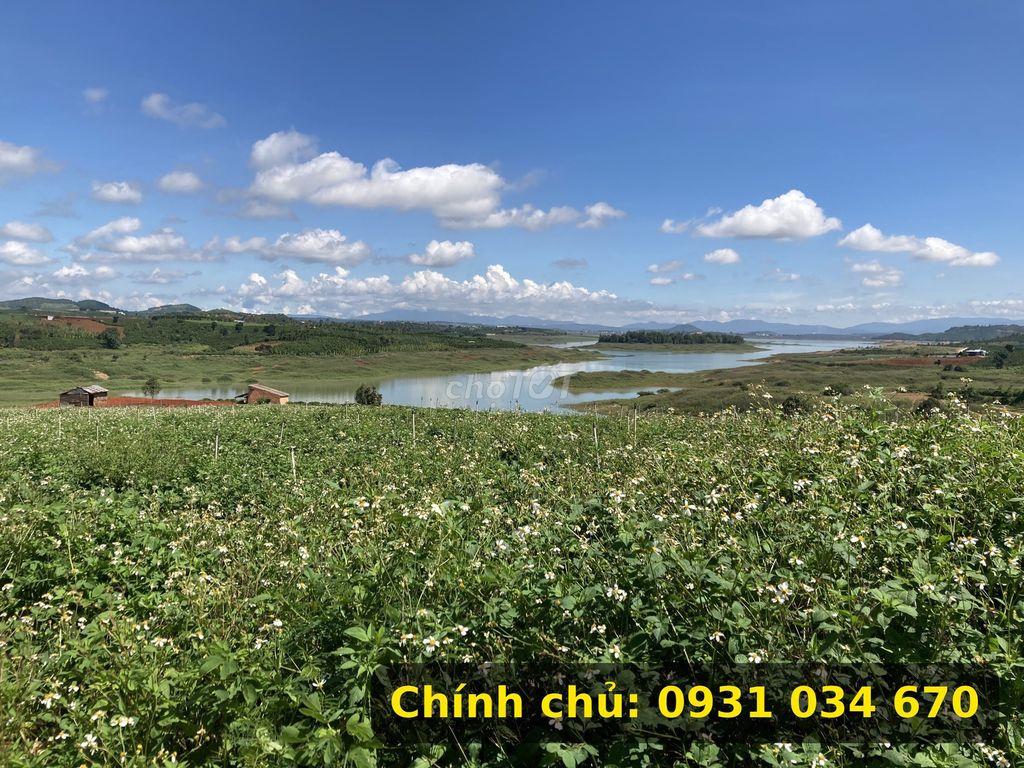 Chính chủ bán 1 sào đất view hồ Đại Ninh, cách hồ 40m, sổ riêng