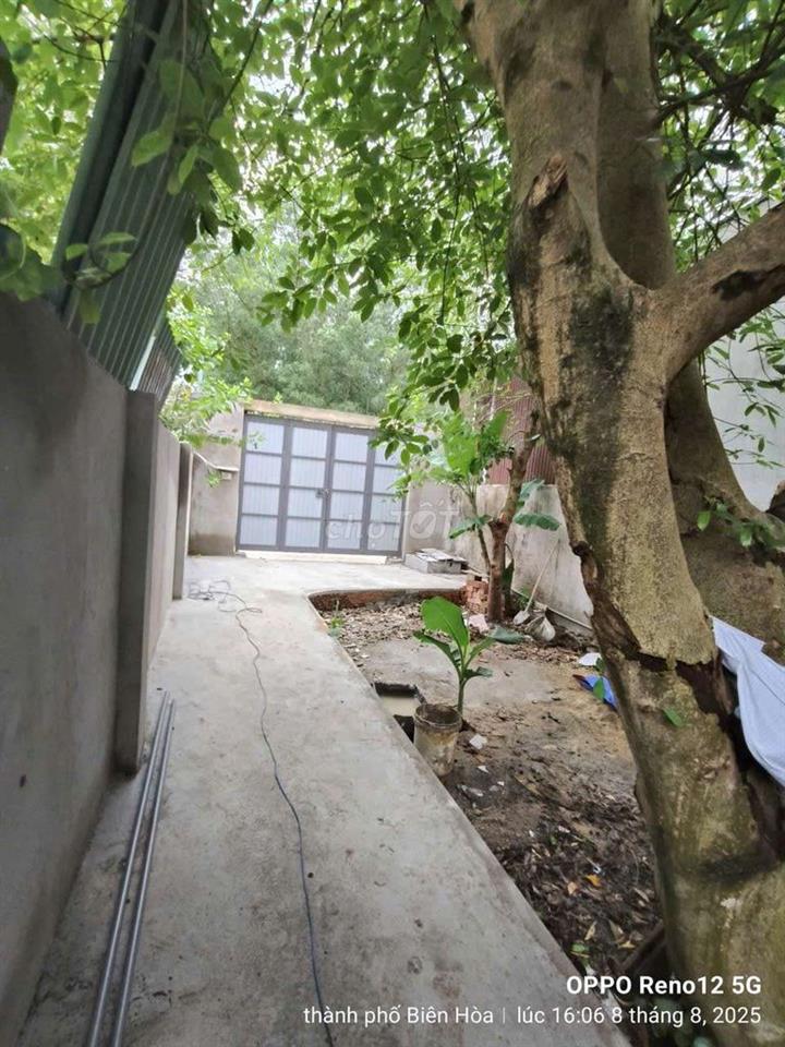 Nhà cho thue