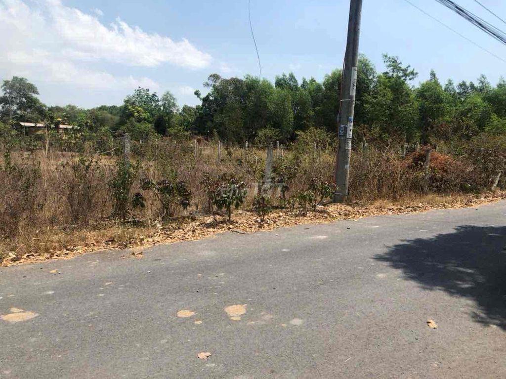 đât 40m ngang 300 thổ