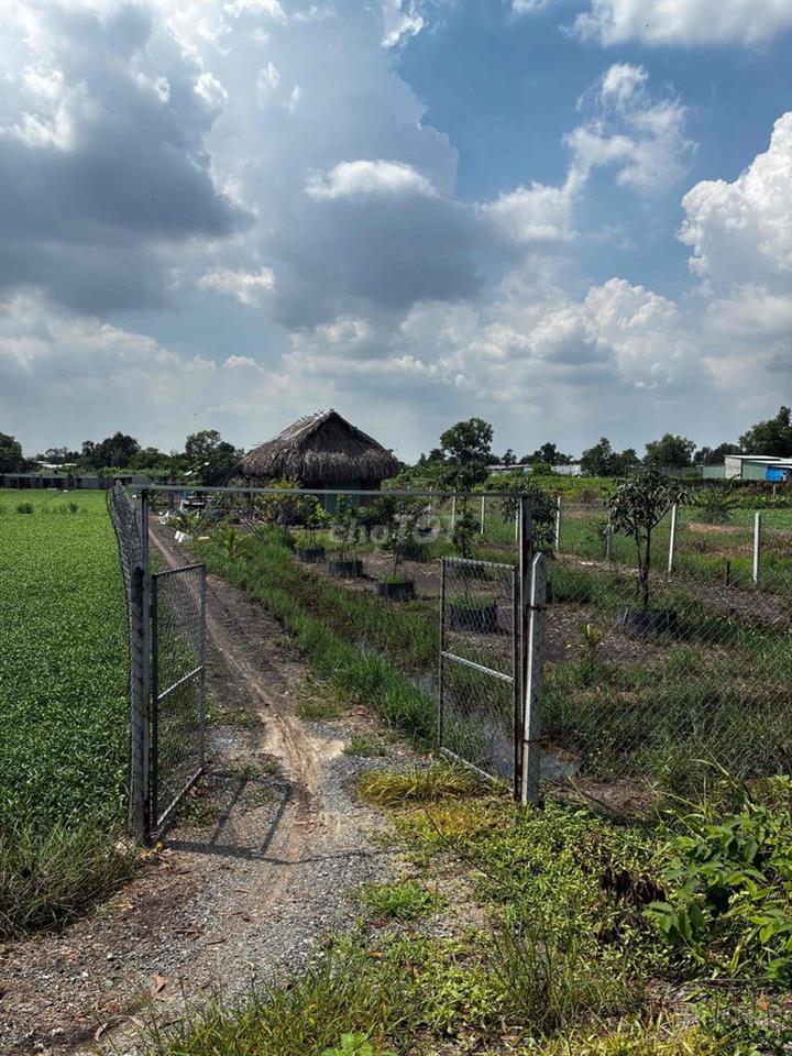 cần bán nhà vườn