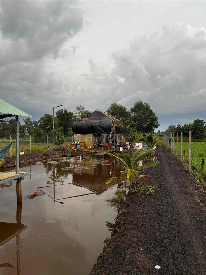 cần bán nhà vườn