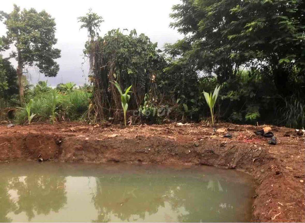 Cần bán đất view suối trung tâm phố