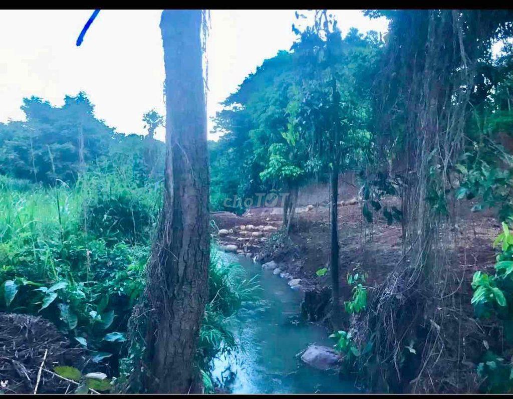 Cần bán đất view suối trung tâm phố