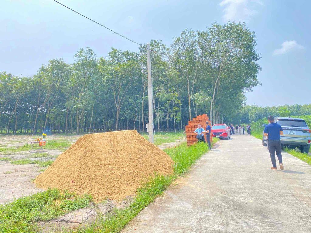 đất chơn thành _ minh hưng