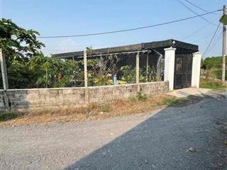 cần bán nhà vườn tại mũi tàu tân phú trung củ chi