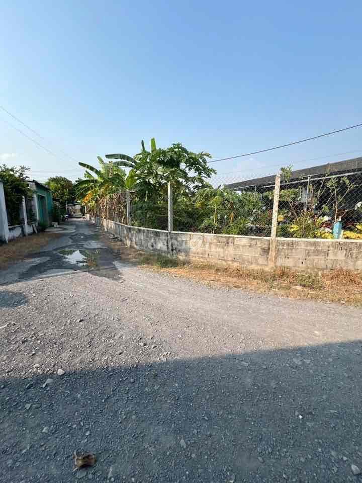 cần bán nhà vườn tại mũi tàu tân phú trung củ chi