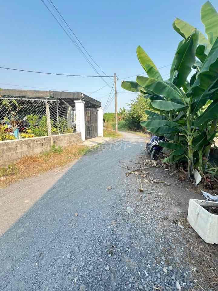 cần bán nhà vườn tại mũi tàu tân phú trung củ chi