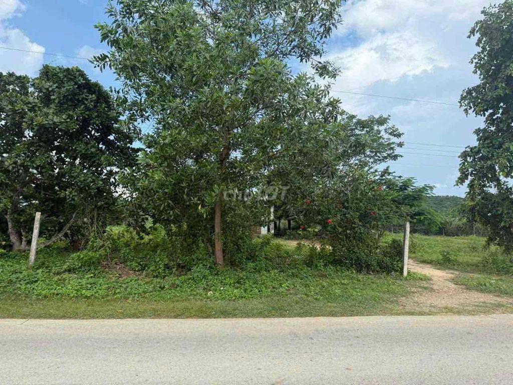 bán đất thổ cư N1N7 kdc lê phong an Phú 70m2, giá 2 tỉ