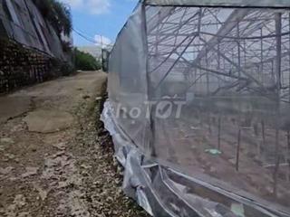 CHÍNH CHỦ CẦN BÁN LÔ ĐẤT  500M² GẦN SÂN BAY CAM LY - ĐÀ LẠT 📢📢