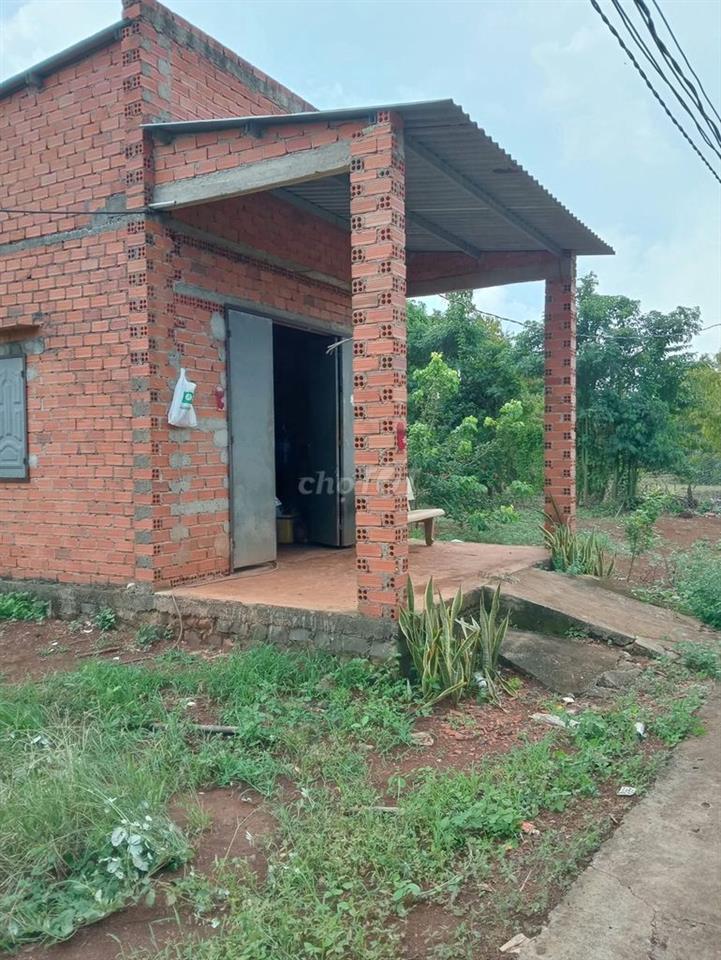CHÍNH CHỦ CẦN BÁN 16000M2 ĐẤT TRỒNG 250 CÂY SẦU RIÊNG VÀ CÂY ĂN QUẢ