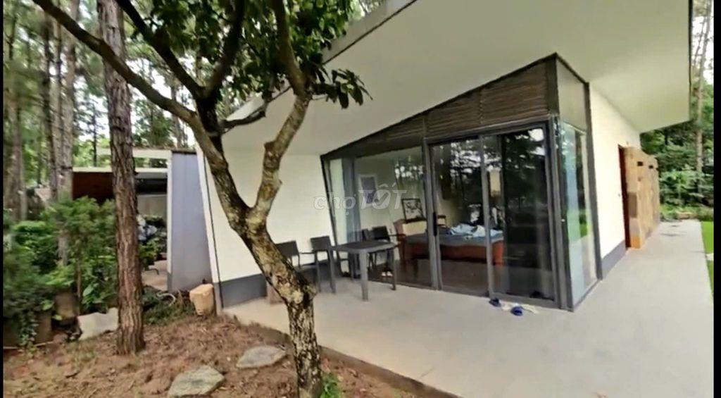 Chính chủ bán Forest Villa - dự án Flamingo Đại Lải.