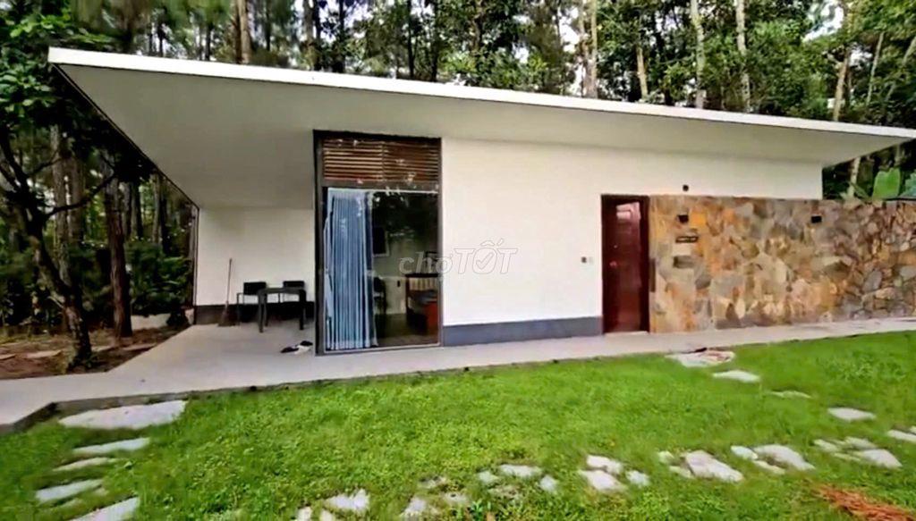 Chính chủ bán Forest Villa - dự án Flamingo Đại Lải.