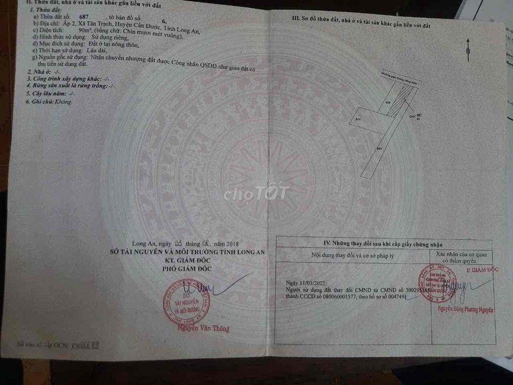 Đất SHR chính chủ, tân trạch, cần đước, long an