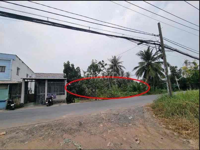 Bán đất Bình Chánh
