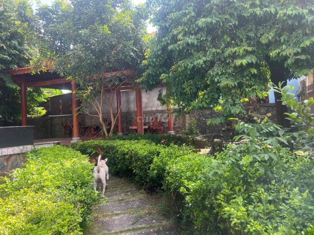 Bán đất kèm cây xăng MT Tỉnh lộ 8 Củ chi