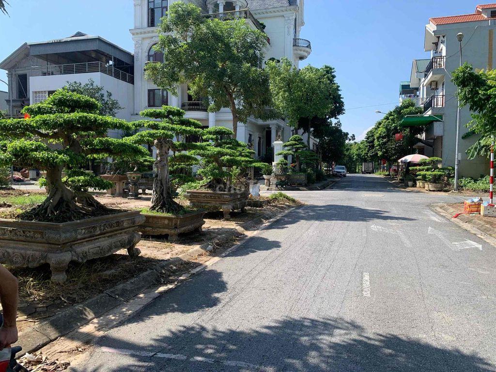 bán đất khu trung tâm tái định cư Đỗ Xá
